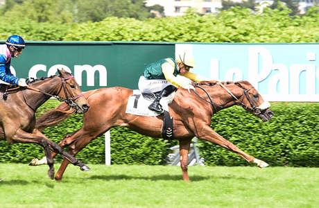 Actualités Hippiques